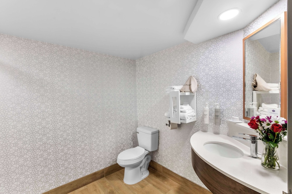 Hampton Inn Knoxville Airport - photo 16