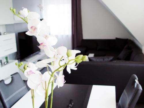 La Domus Premium Osnabrück Lotte — 4-Star Luxury Hotel in Lotte, Germany