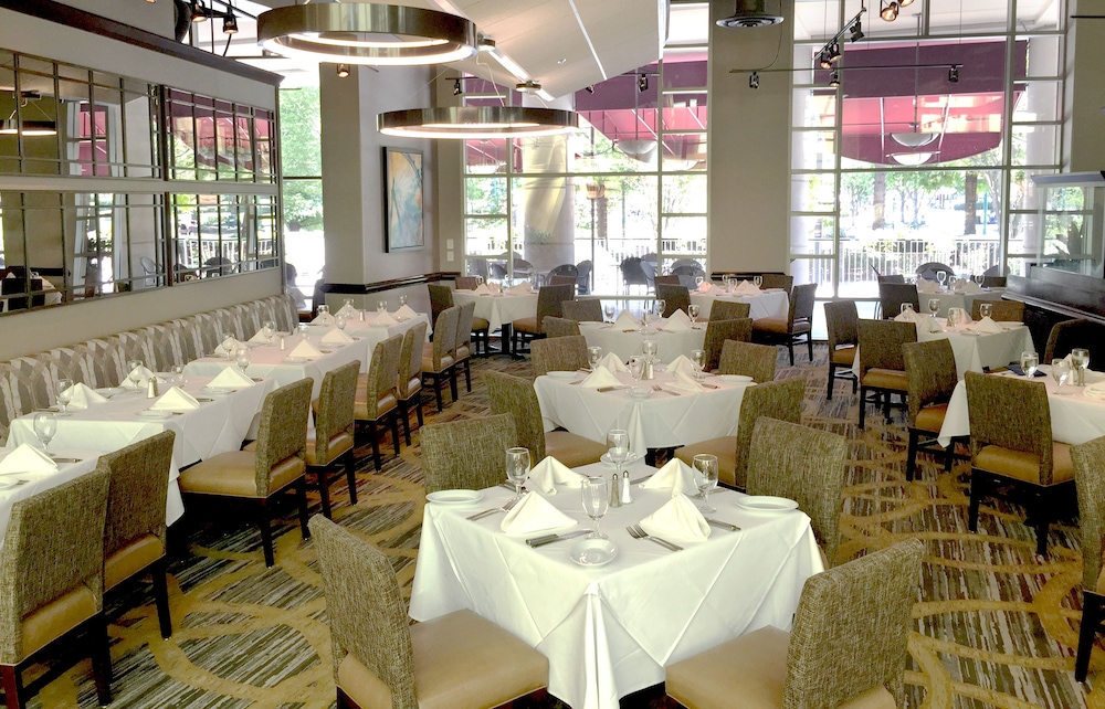 Embassy Suites by Hilton Atlanta at Centennial Olympic Park - photo 48