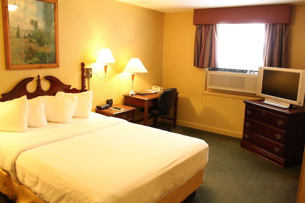 Senator Inn & Spa - photo 5