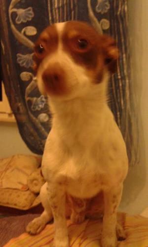 Locanda Genovese 20 in La Maddalena, Italy