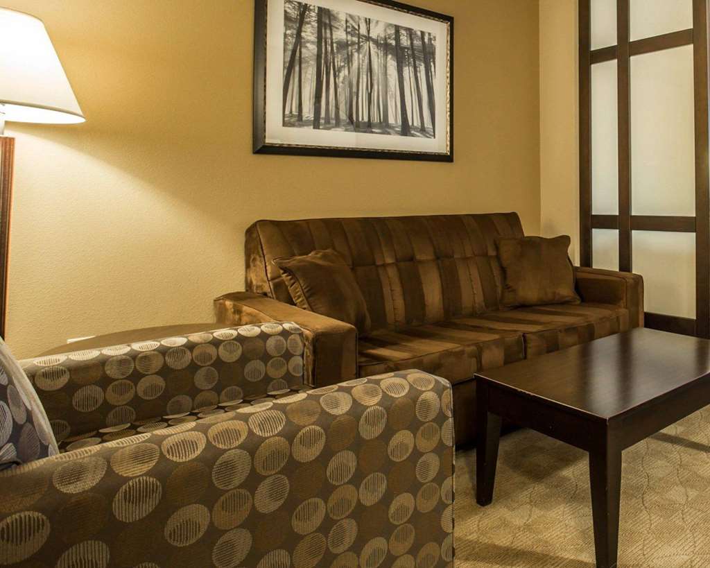 Comfort Suites Huntersville near Lake Norman - photo 22
