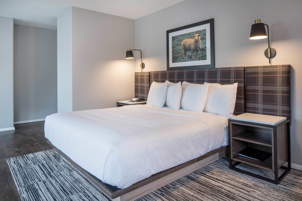 Hotel Ketchum - photo 11