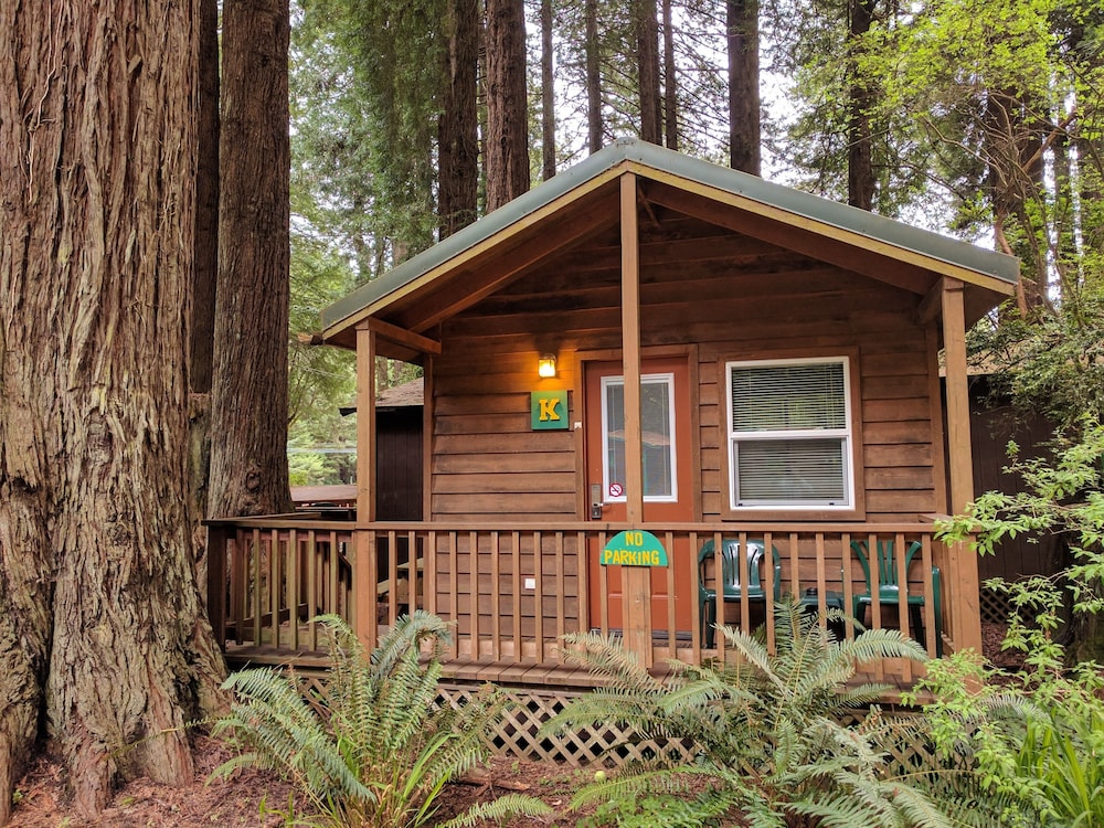 Emerald Forest Cabins - featured photo