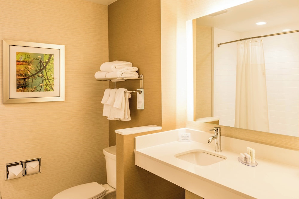 Fairfield Inn & Suites by Marriott Atlanta Fairburn - photo 19