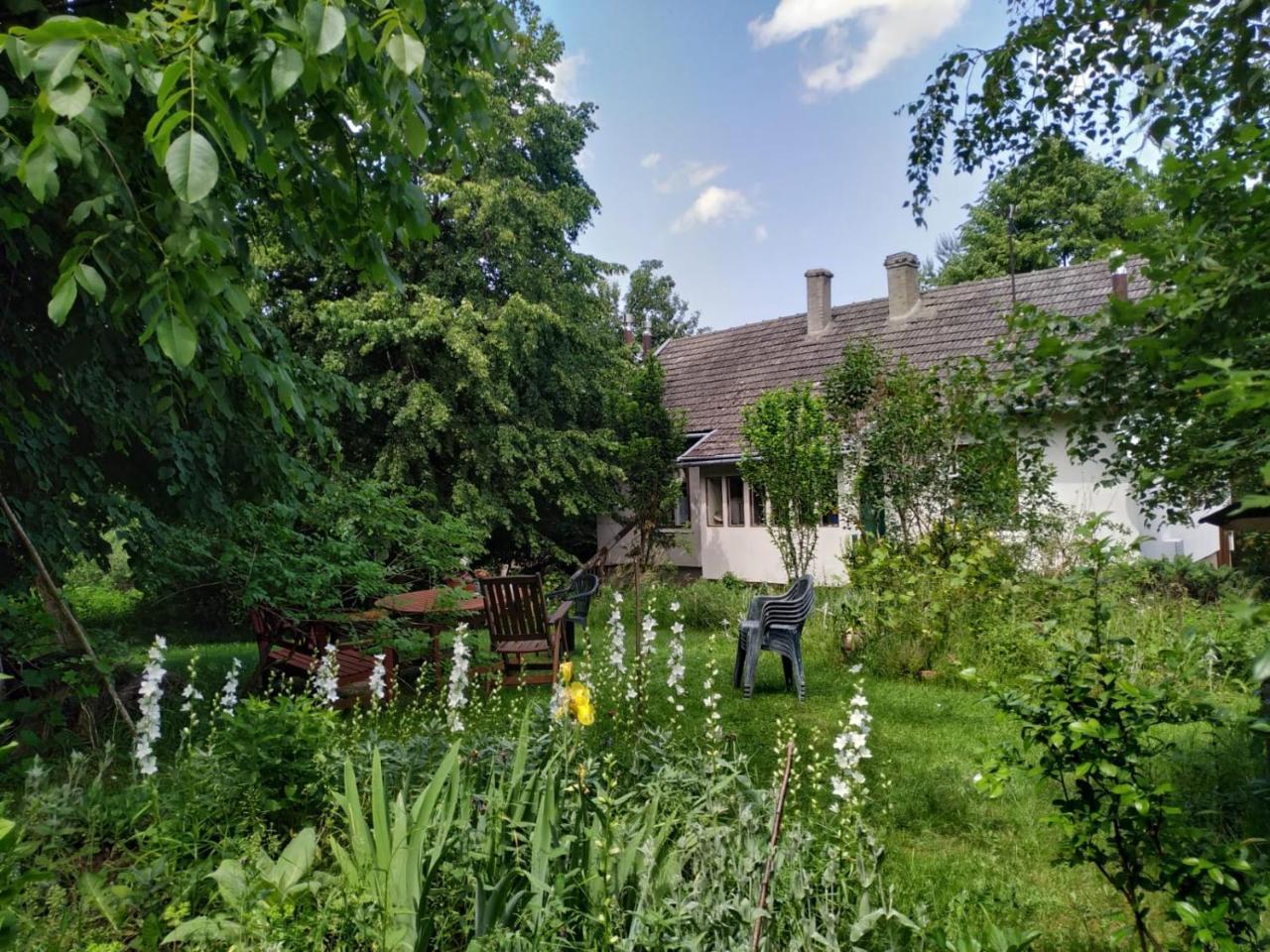 Dom pod Galazka in Bochnia, Poland