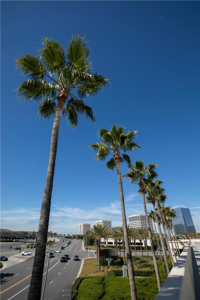 Hyatt Regency Irvine - photo 7