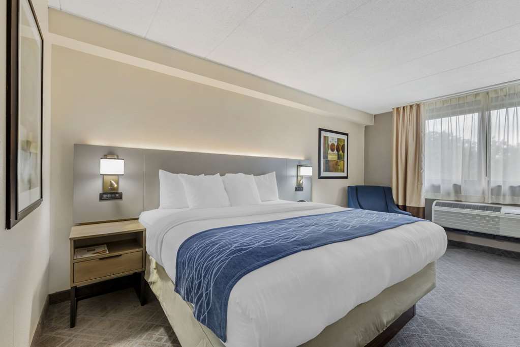 Comfort Inn Herndon Reston - photo 10