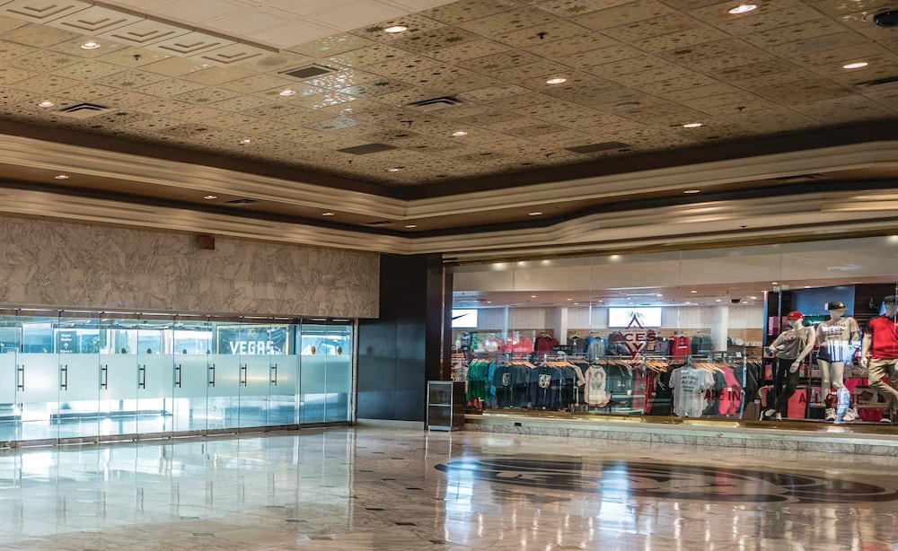 MGM Grand Hotel & Casino - photo 60
