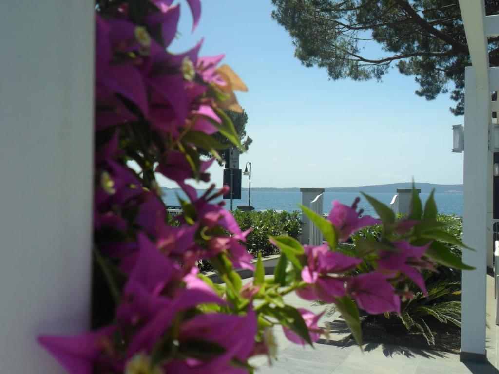 Skipper White Guest House — 4-Star Luxury Hotel in Trevignano Romano, Italy
