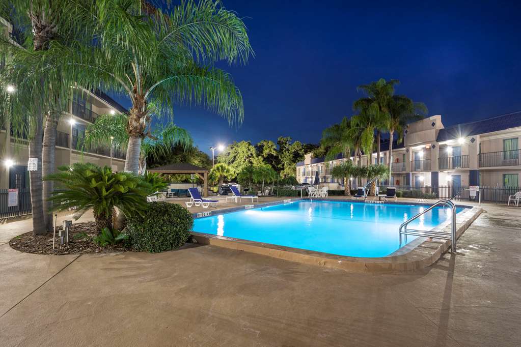 Clarion Inn & Suites Central Clearwater Beach - photo 61