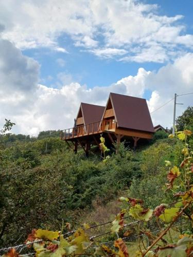 Glamping Čelig - carbon neutral hotel in Unknown City