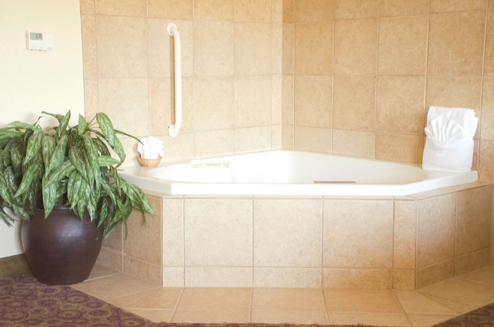 Hampton Inn and Suites College Station - photo 45