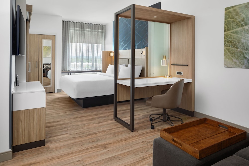 SpringHill Suites by Marriott Roanoke North - photo 12