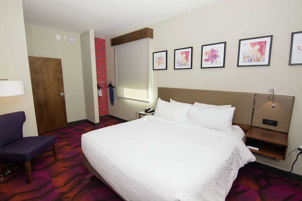 Hilton Garden Inn Tampa Suncoast Parkway - photo 19