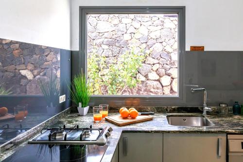 Casa Volcan — Haria — photo 5
