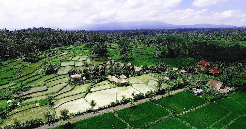 De Klumpu Bali Eco Tradi Stay — Tembuku