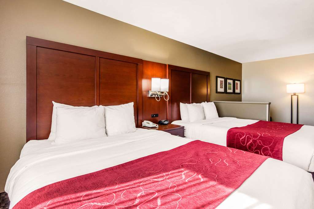 Comfort Suites Tuscaloosa near University - photo 24