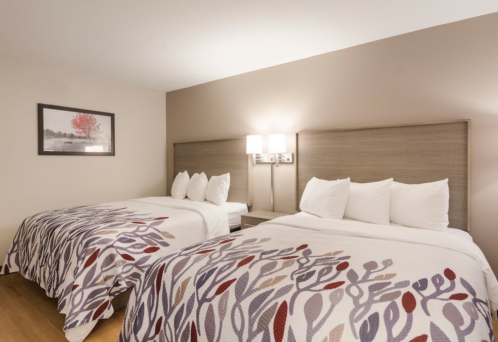 Red Roof Inn Chester - photo 13