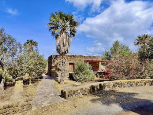 Dammusino Bukkuram in Unknown City, Italy