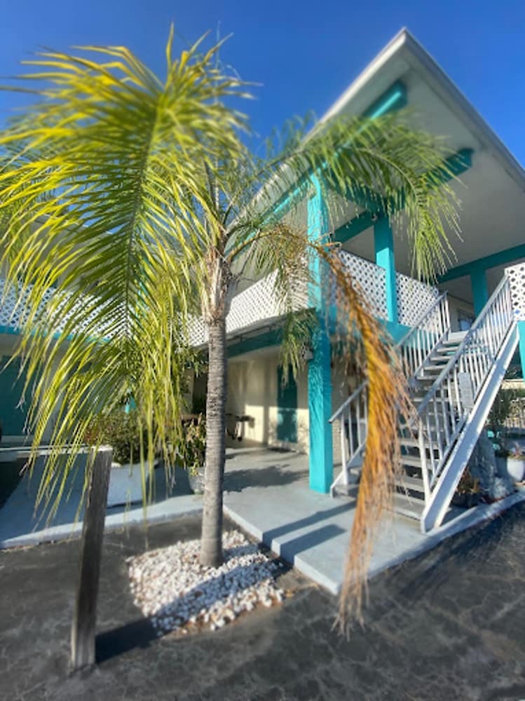 Bposhtels Clearwater Tampa - photo 32