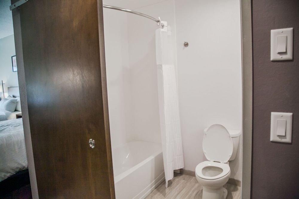 Hilton Garden Inn Tampa Suncoast Parkway - photo 41