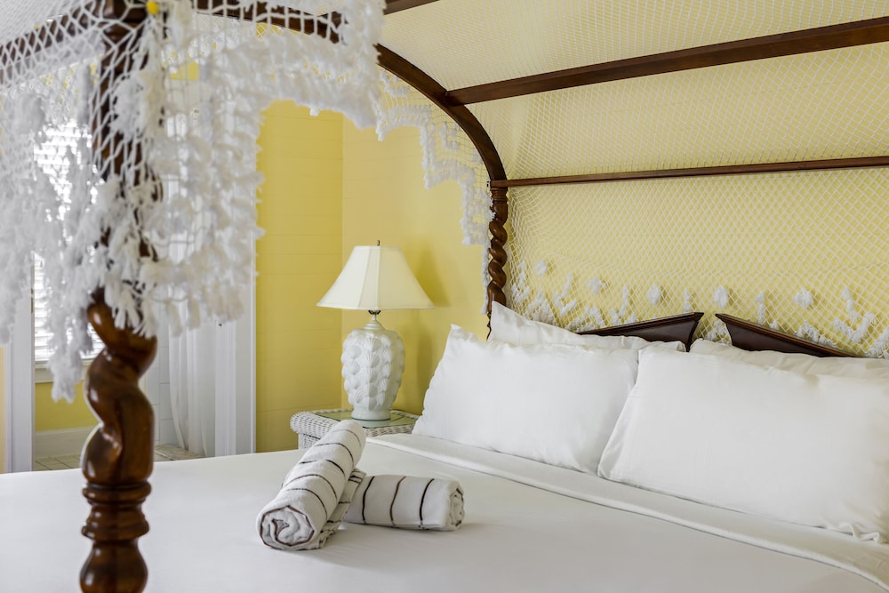 Amsterdam's Curry Mansion Inn - photo 23