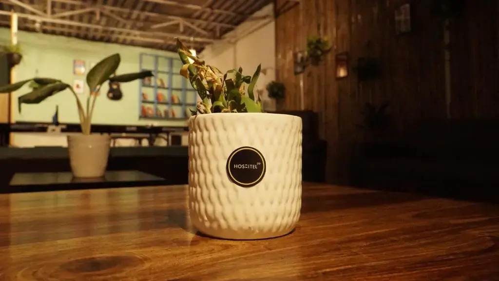 Hoshtel99 Prime Stay Cowork & Connect — 4-Star Luxury Hotel in Pune, India