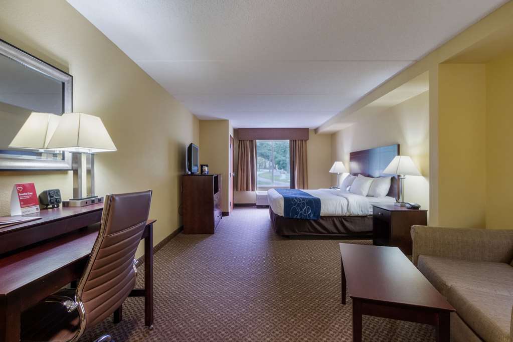 Comfort Suites Near Gettysburg Battlefield Visitor Center - photo 14