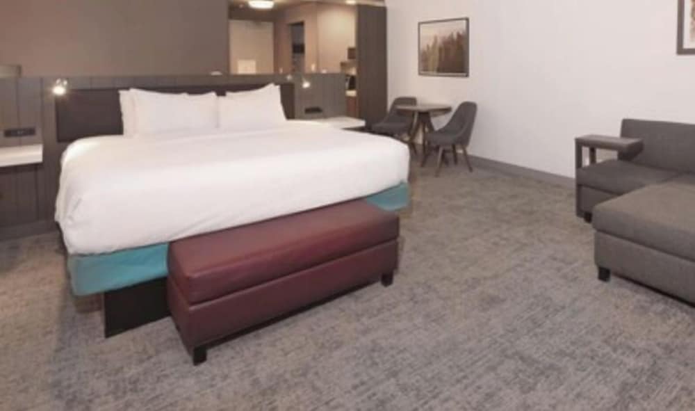 Hilton Garden Inn Chandler Downtown - photo 14