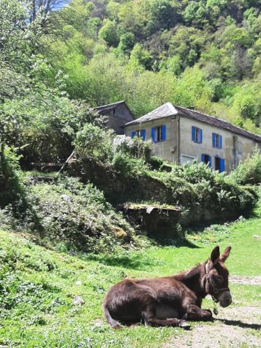 les Spartiates - carbon neutral hotel in Unknown City