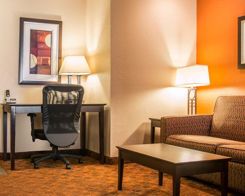 Comfort Inn & Suites and Conference Center - photo 14