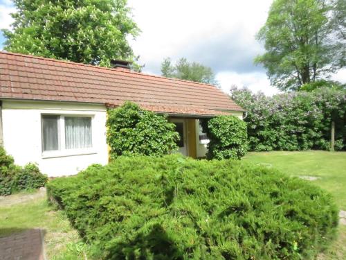 Gartenhaus - last minute hotel in Rheinsberg