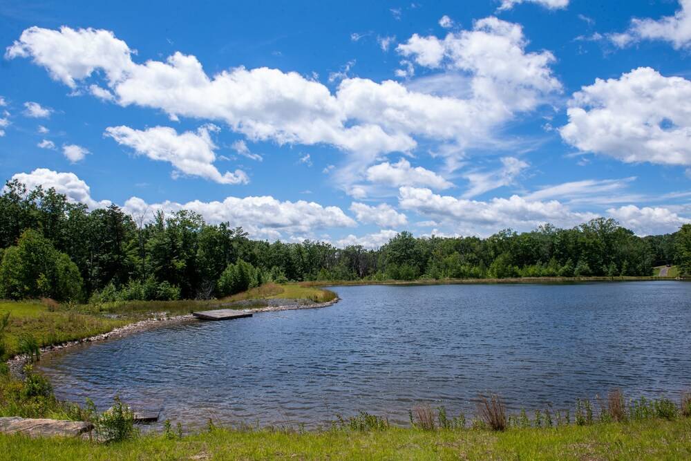 Mountain Laurel Resort - photo 56