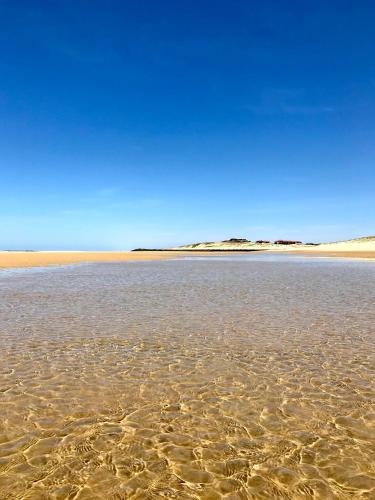 Vue Mer Au Coeur de Contis Plage in Saint-Julien-En-Born, France
