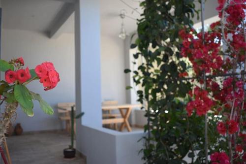 Blackbeard's House Kastri Crete — 4-Star Luxury Hotel in Kastri, Greece