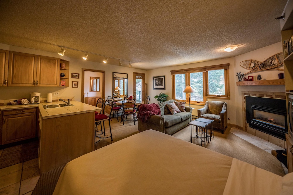 Iron Horse by Stay Winter Park - photo 20