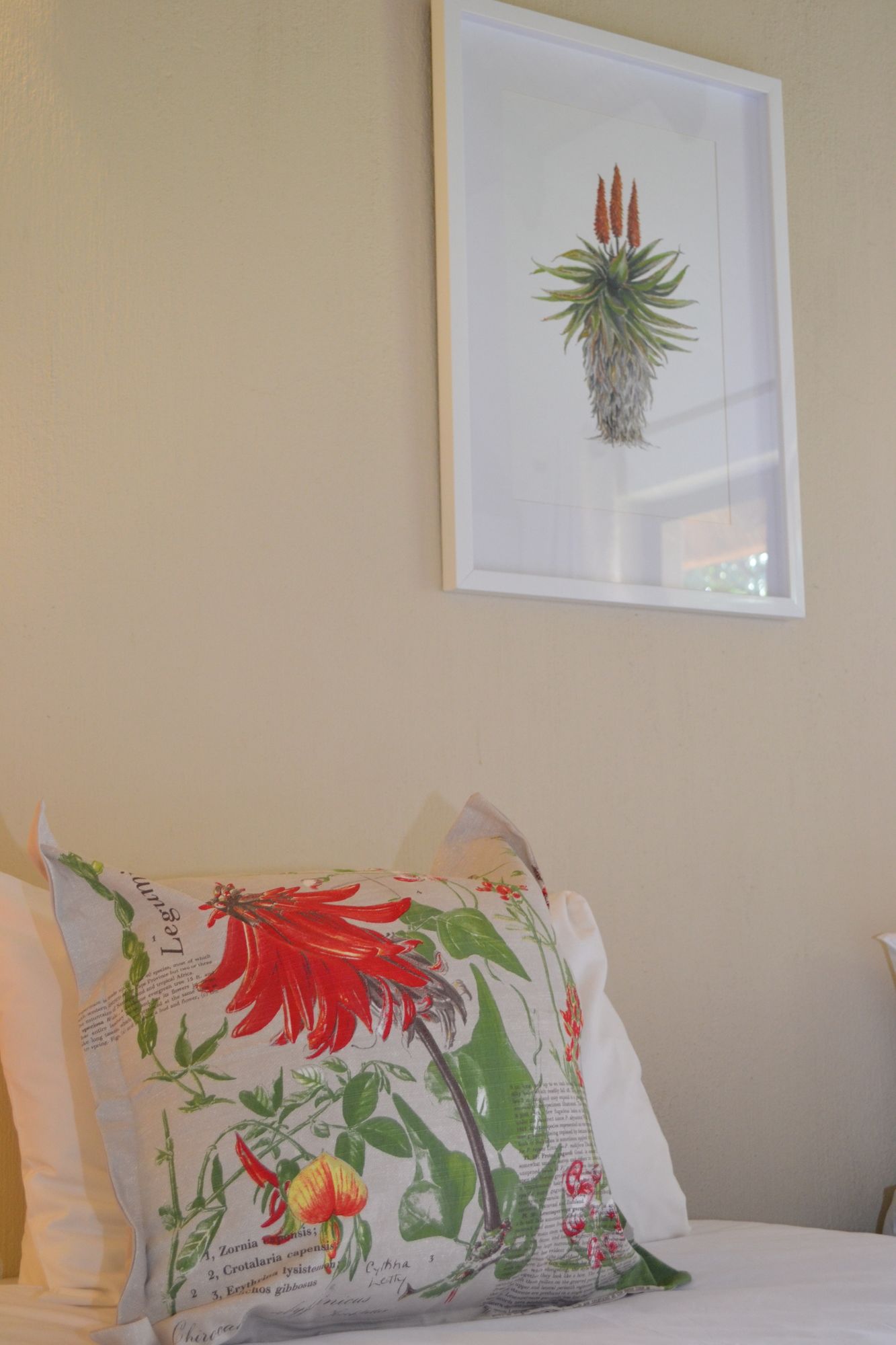 Raptors Wildlife Escapes 28 Apartment