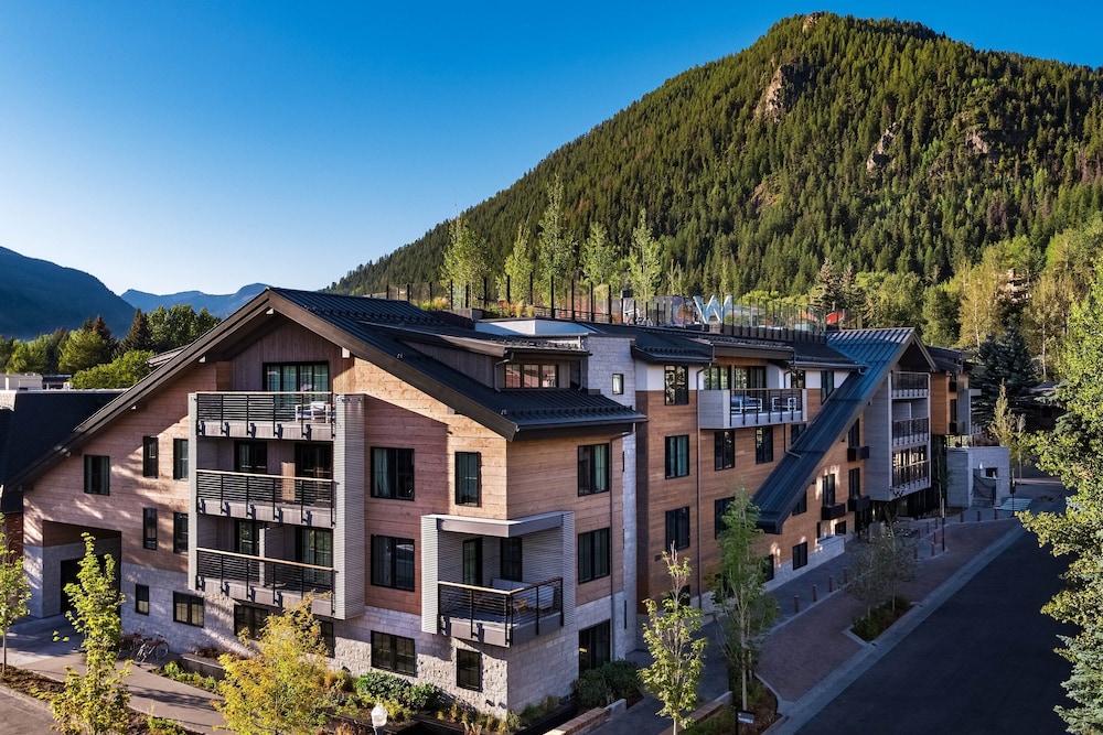 The Sky Residences at W Aspen - photo 48
