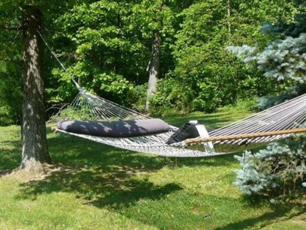 Lil Black Bear Inn - photo 109
