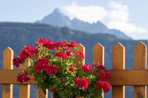Kehrerhof — hotel in Kematen In Tirol