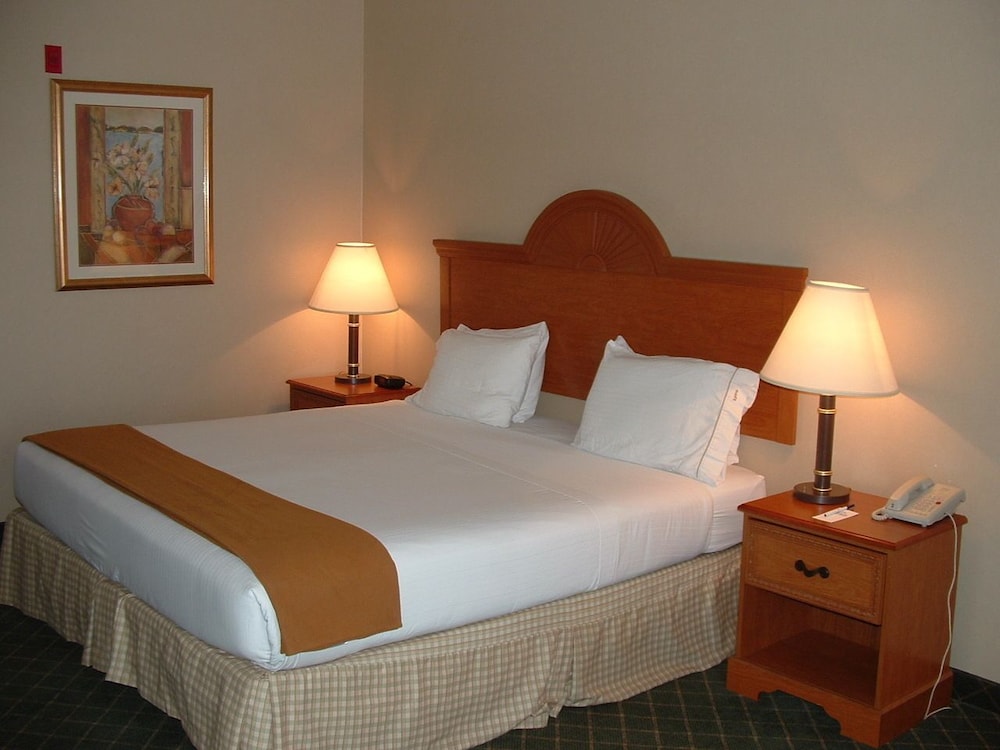 Holiday Inn Express Hotel & Suites Sylacauga by IHG - photo 5