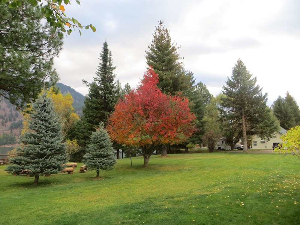 Lakeside Resort and Motel - photo 166