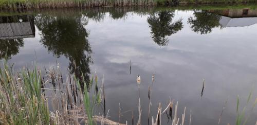 Tuvāk dabai — Aglona — photo 5