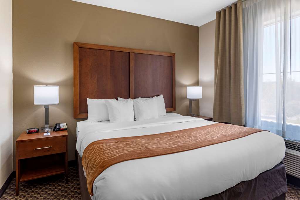 Comfort Inn & Suites Atoka Millington - photo 26