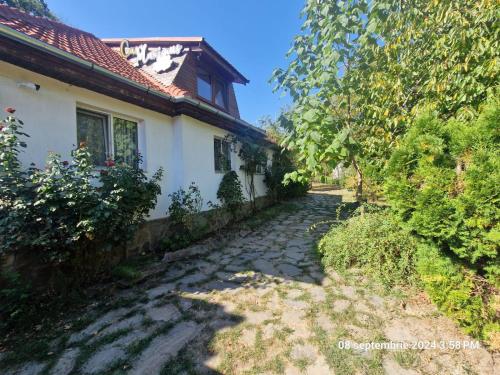 Pensiunea Casa Maximus 20313368 — Moneasa