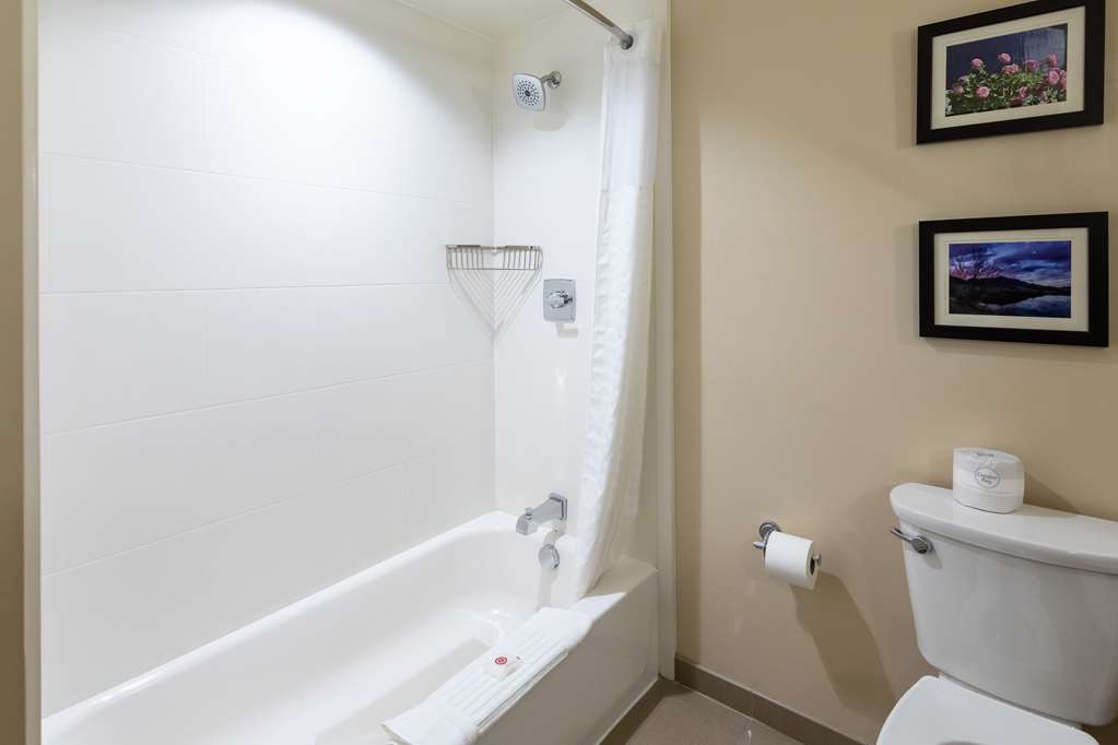 Comfort Suites Denver near Anschutz Medical Campus - photo 28
