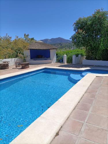 Casa Romana — Coin — photo 2