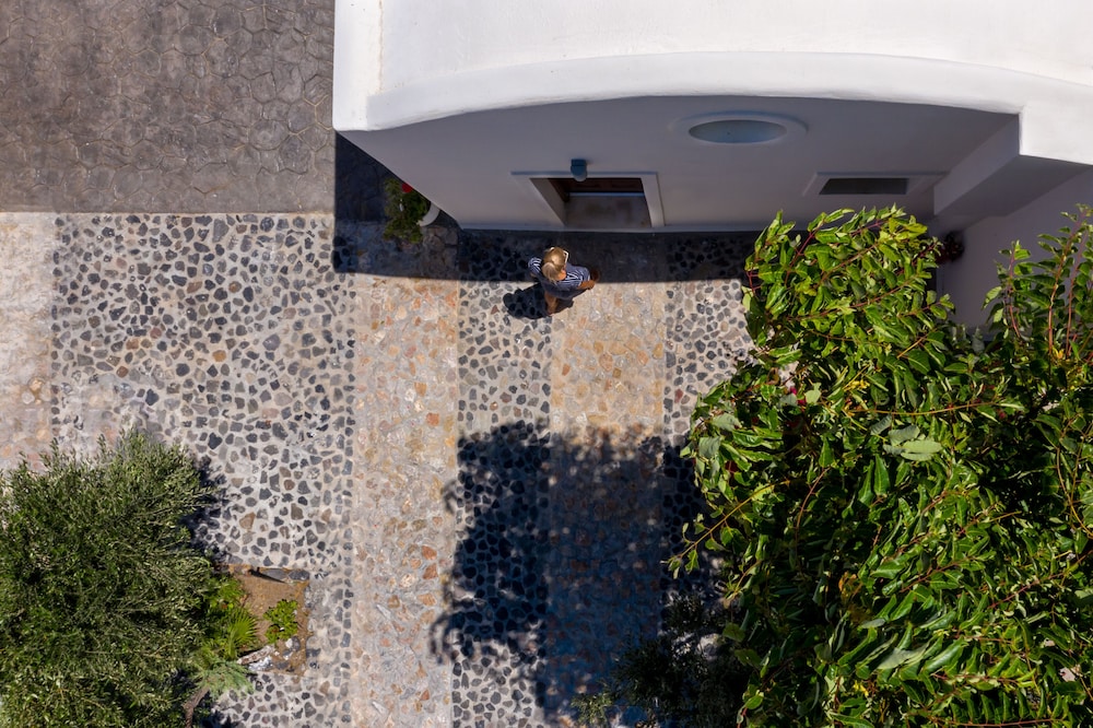 שטחי חוץ / גן