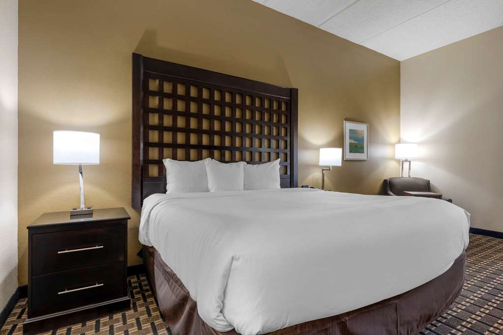 Comfort Inn Sherman - photo 13